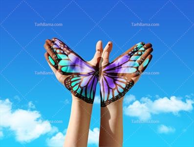 تصویر با کیفیت  پروانه روی دست
